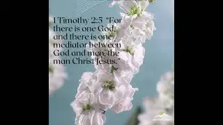 &ldquo;One Mediator | 1 Timothy 2:5&rdquo;