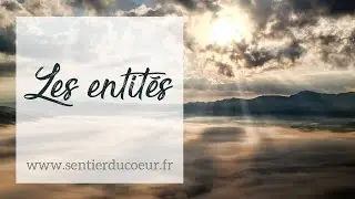 Les entit&eacute;s