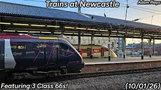 Trains at Newcastle featuring 3 Class 66s! (10/01/26)
