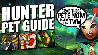 The ULTIMATE Hunter Pet Guide