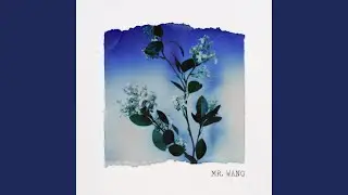 Mr. Wang