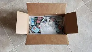 2,177 BETA Cards = I RISK $6,390 on a Shady Ebay Listing