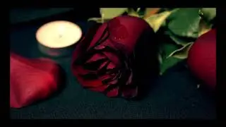 Percy Wonder - B.A.F ( Better As Friends) Official Music Video