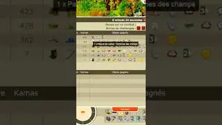 COMMENT FAIRE DES MILLIONS DE KAMAS SUR DOFUS RETRO AU LVL 20 - DONJON DES CHAMPS