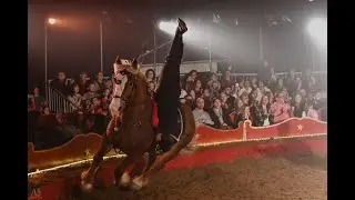 Certification Artiste Equestre   Louise Fromager