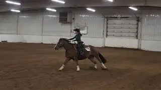 IHSA Semi-Final Reining Sidney Hawk 1st Place
