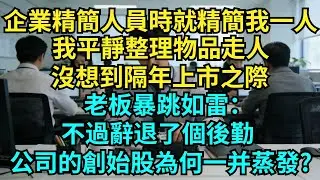 企業精簡人員時就精簡我一人，我平靜整理物品走人，沒想到隔年上市之際，老板暴跳如雷：不過辭退了個後勤，公司的創始股為何一並蒸發？【奇聞秘事】#奇聞#秘事#故事 #职场 #职场故事 #奖金