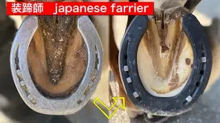 装蹄師　japanese farrier