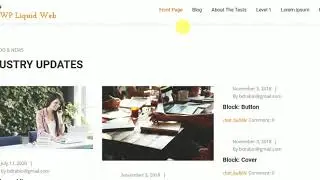 How to Setup Blog & News || WP Liquid Web Pro Themes || WordPress