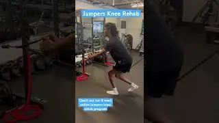 Jumpers Knee Rehab: single leg isometric squat #shorts