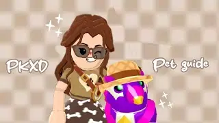 《【PKXD PET GUIDE! || remake】》
