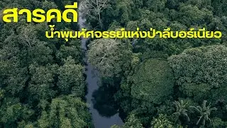 Документальный фильм: Чудотворный источник в дремучем лесу Борнео
