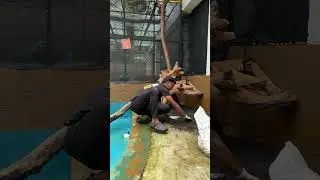 Rehab Highlights