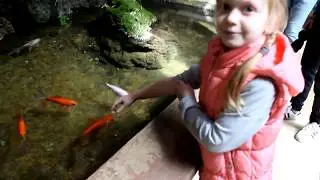 Мюнхенский зоопарк 
