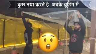 इस वाली ब्रूडिंग ने कमाल ही कर दिया ￼| first day chicks management |ब्रूडिंग एरिया कैसे बनाये ?
