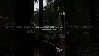 Arabic quotes status video, #islamicvideo #islamicshorts #allahuakbar #muslim #islamicvideos #share