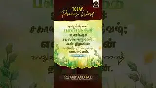 Daily Tamil Bible Word | 08 Jan 2025 | Gods Guidance #dailybibleverse #todaybibleverse #shorts