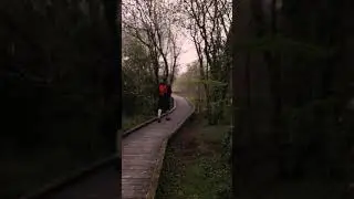 Pollardstown Fen Walk