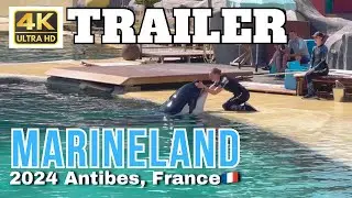 TRAILER 🎞️ Marineland Antibes, France 🇫🇷 #4k #shortvideo