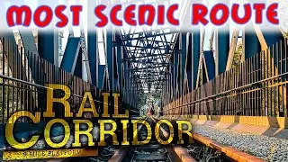 A Serene Stroll Along Singapore's Central Rail Corridor