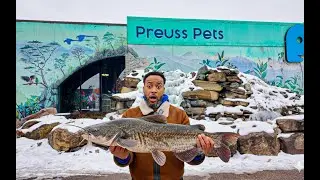 Why Animal Lovers Travel for This Pet Shop | Preuss Pet Shop