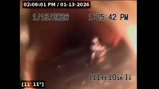 42 Gordon Way Post Video