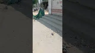 Air pollution due to failure of cement companies to pack properly, failure of pollution department