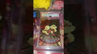 My 2023 Pok&eacute;mon card investments so far&hellip; 🔥