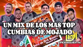 Grupo Mojado | Trapeaste conmigo | La gorda y Matamoros
