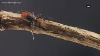 Proposal for Lyme Disease research advances