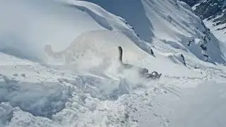 The Most Dangerous Hunt in the World! 🐆🏔️Leopard vs Blue Sheep