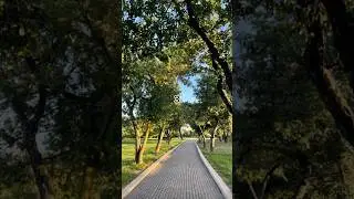 Какую тропинку ты выберешь? #комфорт #вайб #vibes