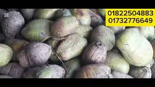 #নারিকেল এর বিশাল পাইকারি দোকান। 