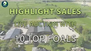 Trailer | Highlight Sales@Springflut Festival - Fohlen
