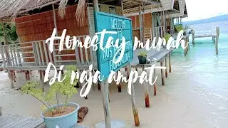 Liburan murah di raja Ampat | Homestay murah|penginapan
