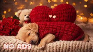 12 HOURS of Dog Calming Music 🌙 Nighttime Deep Sleep & Anxiety Relief for Dogs 💤 No Ads