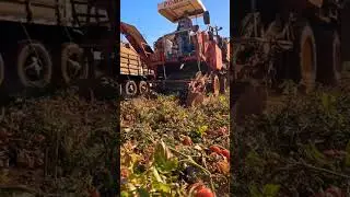 New agriculture Technology. #tractor #agriculturetechnology #youtube #agriculture #agriculturetech