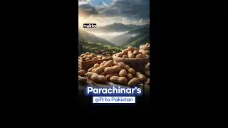 Parachinar&rsquo;s Famous Peanuts and Their Rising Value | Nukta