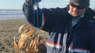 Dungeness Crab Snaring at Ocean Beach CA, San Francisco