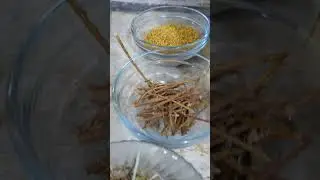 ingredients of oil pure and chemical free