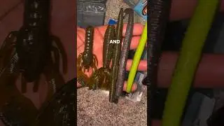 Easy Way To Catch Bass ( Texas Rig with Pegged Weight)