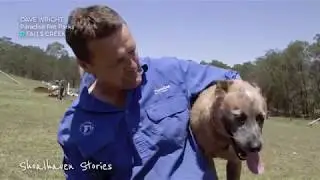 Shoalhaven Stories - Meet Dave from Paradise Pet Parks