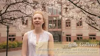 Study Abroad Singapore // Neurobiology, Physiology, and Behavior Major // Julia Gulliver