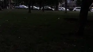 Hoboken, New Jersey - Fireflies in Stevens Park