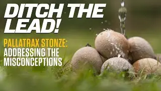 Pallatrax Stonze: Addressing The Misconceptions