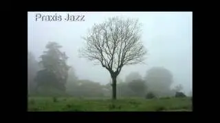 Vida Funk - Praxis Jazz