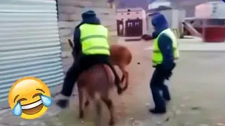 Best Funny Videos Of 2025 😂 TRY NOT TO LAUGH Funny Videos #21😂