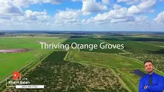 1,620-Acre Florida Farm for Sale | Orange Grove & Watermelon Field | Zolfo Springs FL | Khairi Salah
