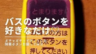 バスのボタンを好きなだけ押せる夢のようなアイテムです(♡.♡)