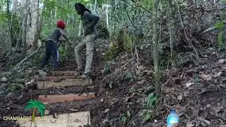 Building my tourist attraction in Jamaica. Champagne Villa, River and Falls